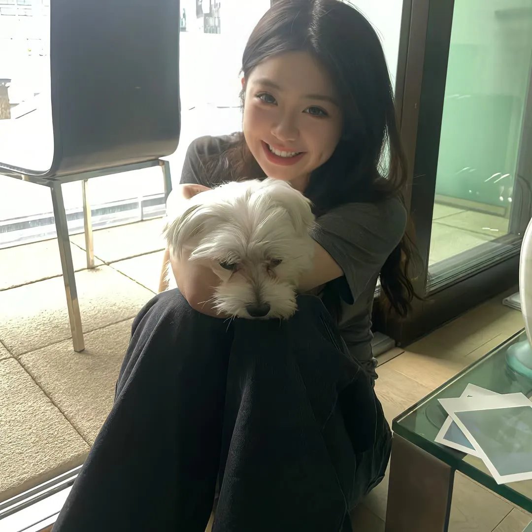 金鹰宝藏
